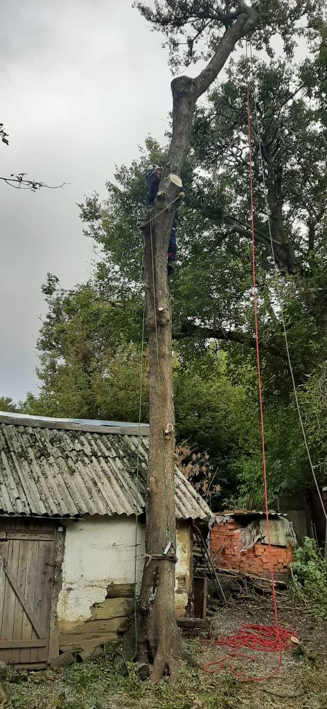 2021-09-25 10-48-08